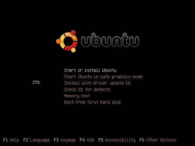 Ubuntu install figure 1